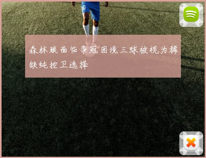森林狼面临争冠困境三球被视为稀缺纯控卫选择